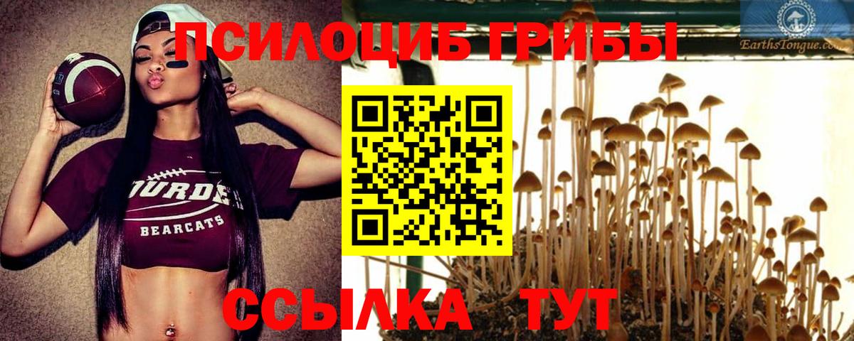 Балашиха  Галлюциногенные грибы прущие грибы  Вход с VPN  Галлюциногенные грибы Psilocybe 