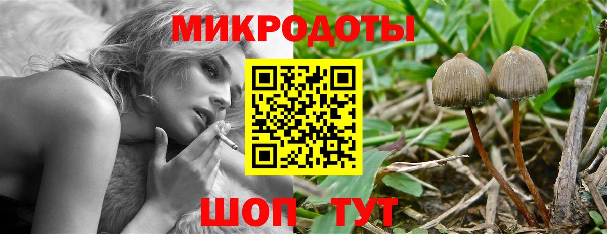 Галлюциногенные грибы ЛСД Балашиха