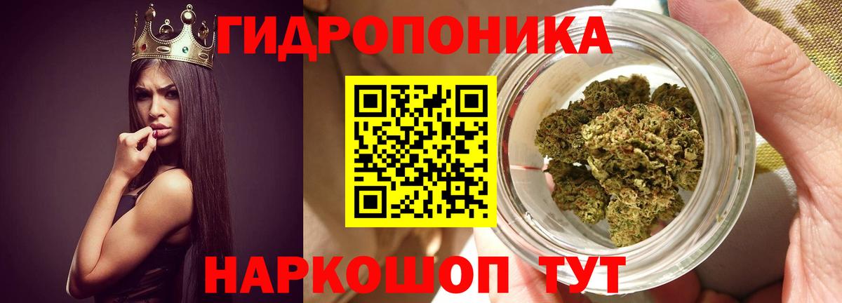Канабис ГИДРОПОН  Вход с VPN  Балашиха  Каннабис гибрид  Бошки марихуана White Widow  Шишки марихуана Bruce Banner 